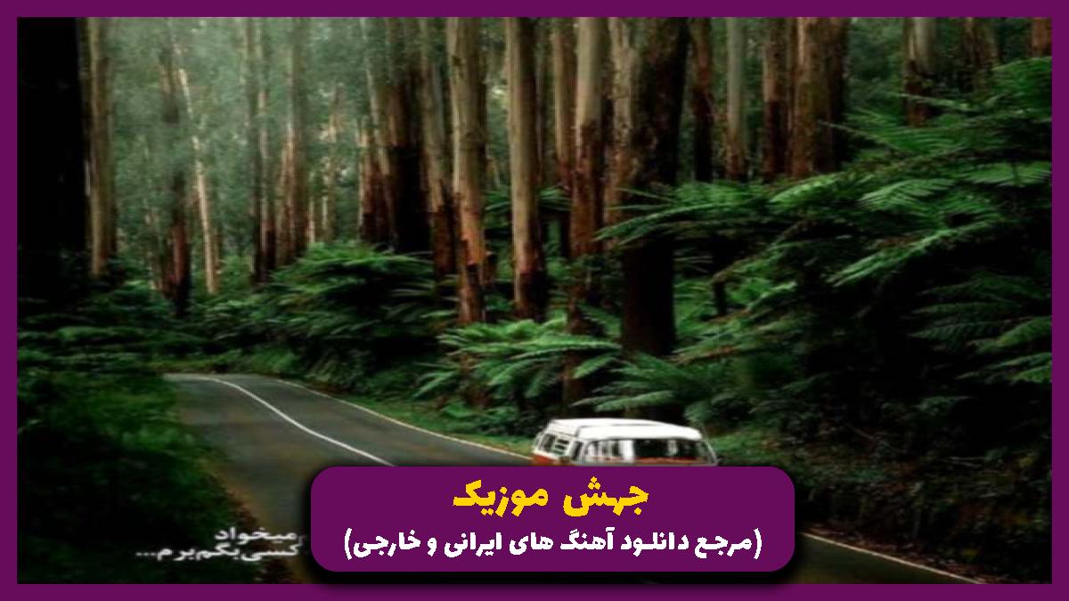 دانلود آهنگ نمیشه ادامه داد از مهدی یراحی و گوگوش